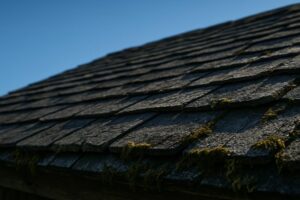 roof lifespan expectations vary